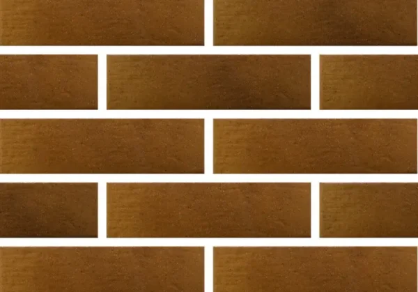 Aquarius brown